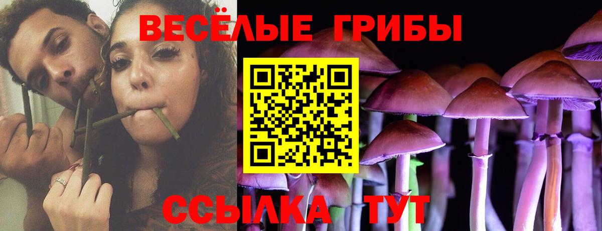 Псилоцибиновые грибы Cubensis Сызрань