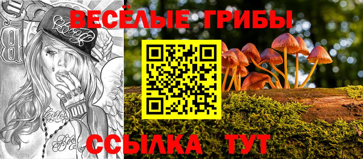 Галлюциногенные грибы Magic Shrooms  Вход с VPN  даркнет сайт  Псилоцибиновые грибы Magic Shrooms  Сызрань 